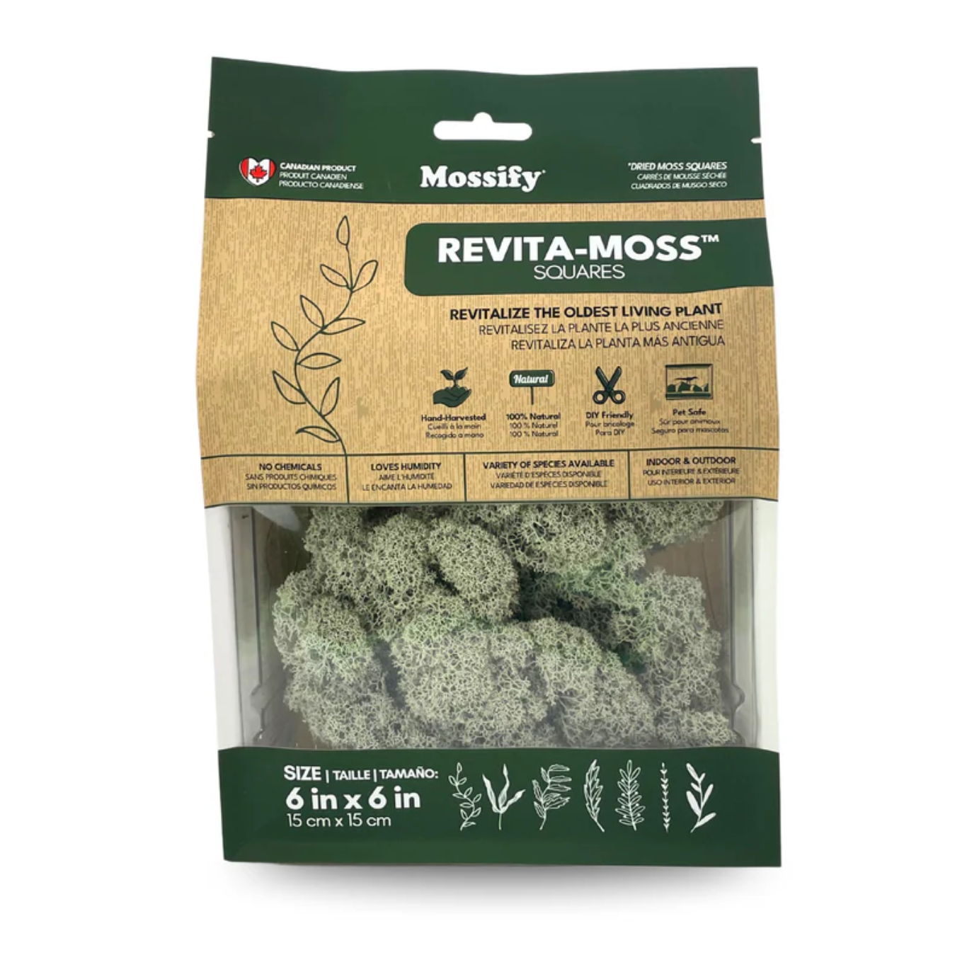 Mossify MOSSIFY REV-CS-0001 Mousse de renne canadienne naturelle - Revita-Moss