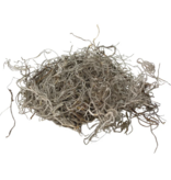 Mossify Premium Spanish Moss