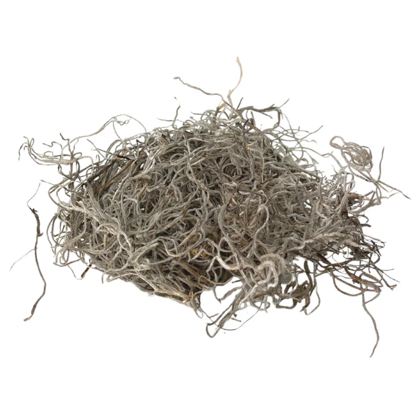 Mossify MOSSIFY SPAN-N-0001 Mousse espagnole de qualité supérieure 75g