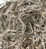 Mossify Premium Spanish Moss