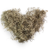Mossify Premium Spanish Moss