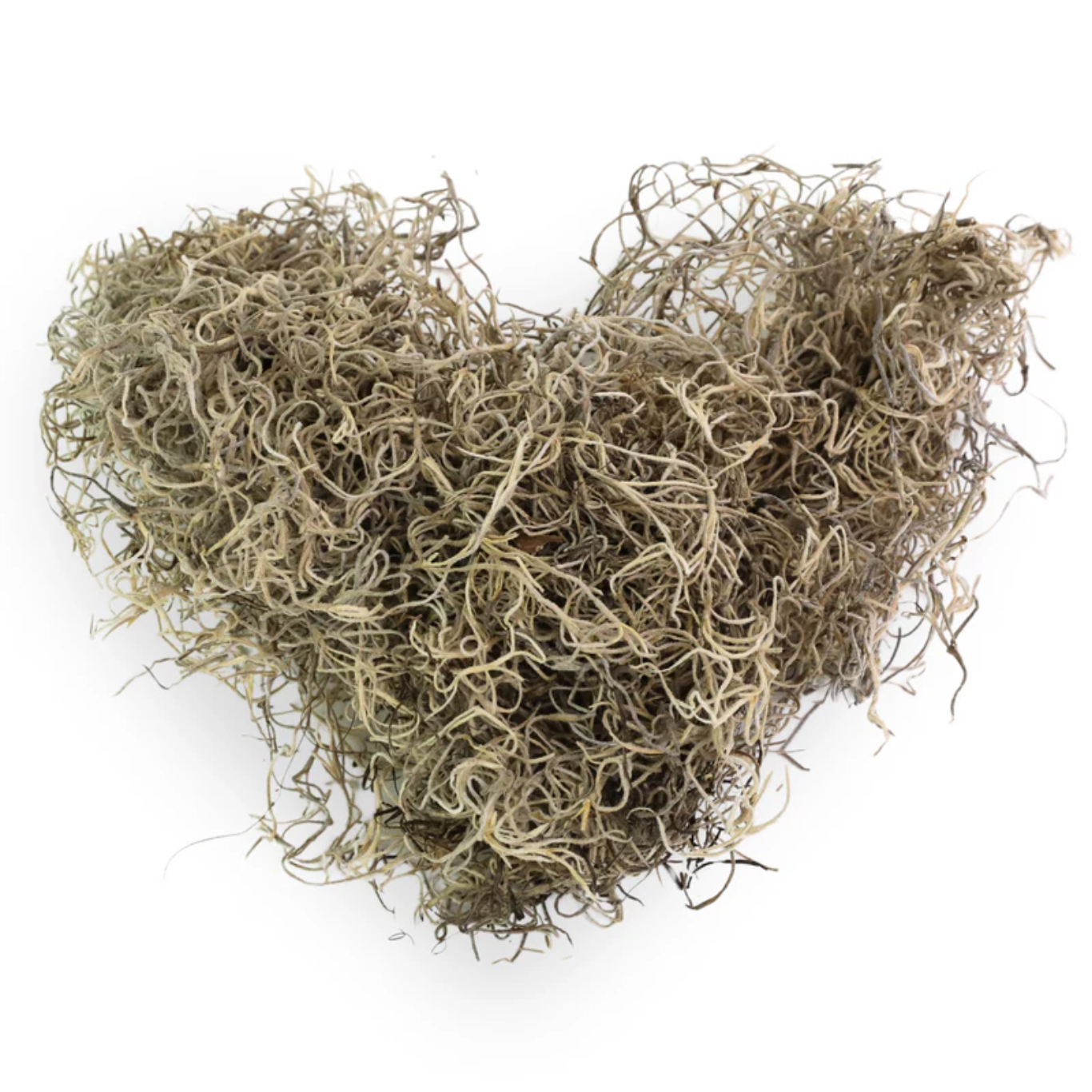 Mossify Premium Spanish Moss