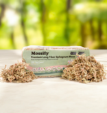 Mossify Premium Sphagnum Moss 50g.