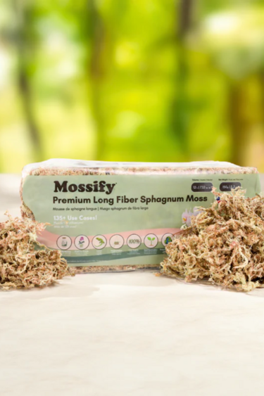 Mossify MOSSIFY SPHAG-N-0001 Mousse de sphaigne de qualité supérieure 50 g