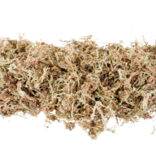 Mossify MOSSIFY SPHAG-N-0001 Mousse de sphaigne de qualité supérieure 50 g