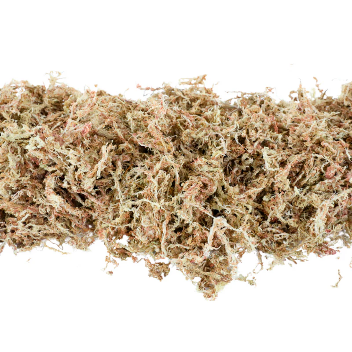 Mossify Premium Sphagnum Moss 50g.