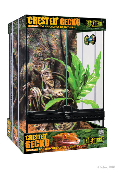 Exoterra EXO TERRA PT3778 Terrarium équipé pour gecko à crête petit 12 X 12 X 18 po