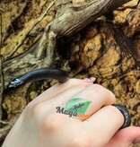 Magazoo Baby Mexican black king snake #3