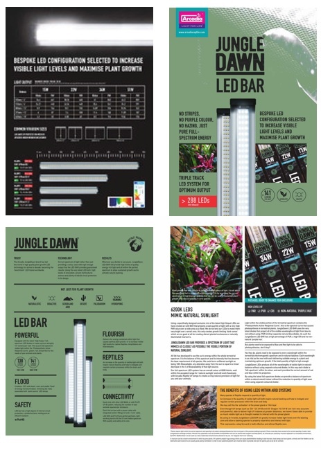 Arcadia ARCADIA Barre DEL Aube de la jungle