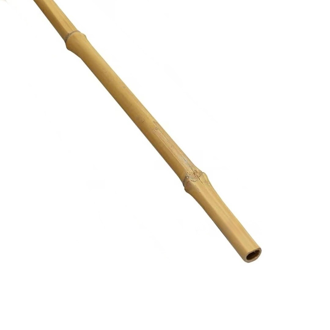 All things reptile ATR Bamboo Poles 40 inch length Approx. 1" Dia.