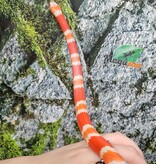 Magazoo Albino Female Tricolor Honduran Milk Snake 07/22/25