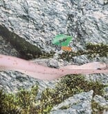 Magazoo Serpent des blés Palmetto Amel Bébé #3 ( léger gros  yeux) Mâle 8/8/25