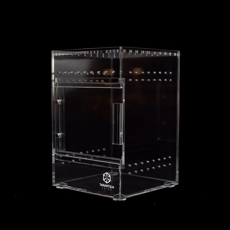 Tarantula Cribs Habitat pour taranture – Tree House Switch - 4X4X6''