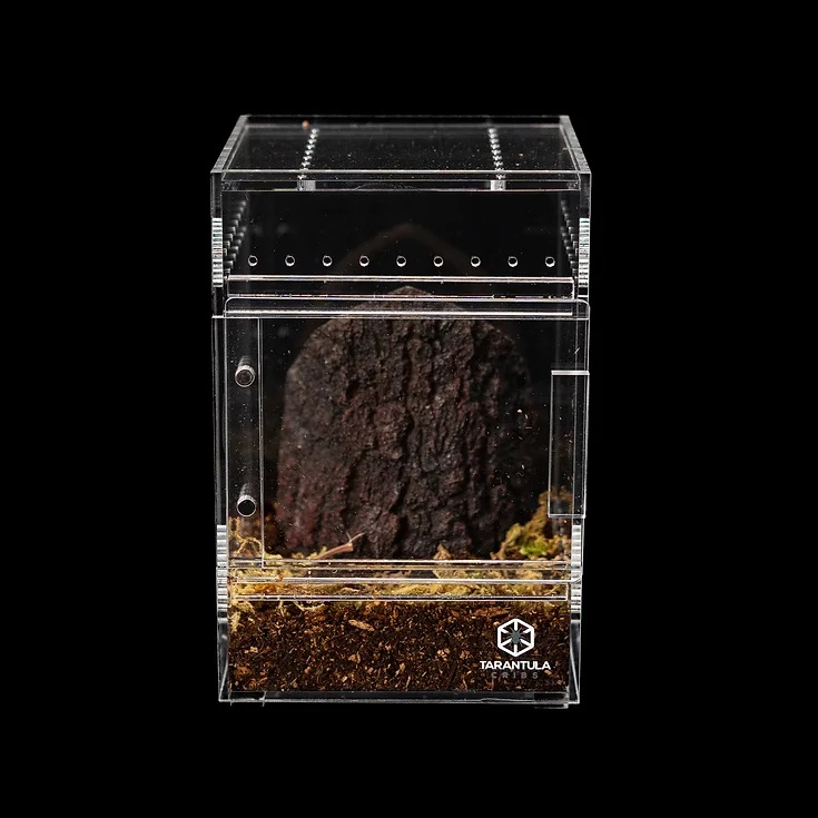 Tarantula Cribs Habitat pour taranture – Tree House Switch - 4X4X6''