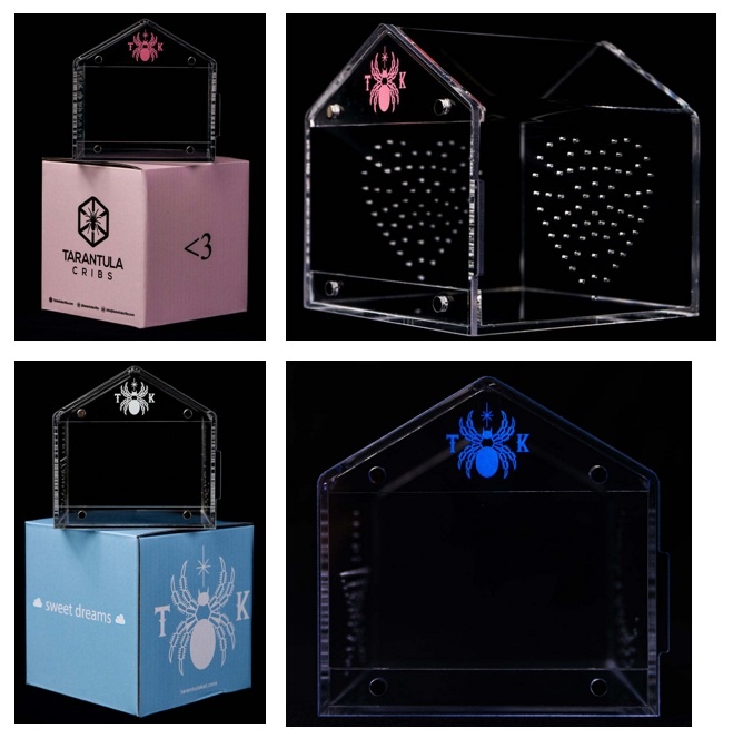 Tarantula Cribs Habitat pour mygales – Tarantula Kat Special Canopy Mini – 4 X 4 X 4 po