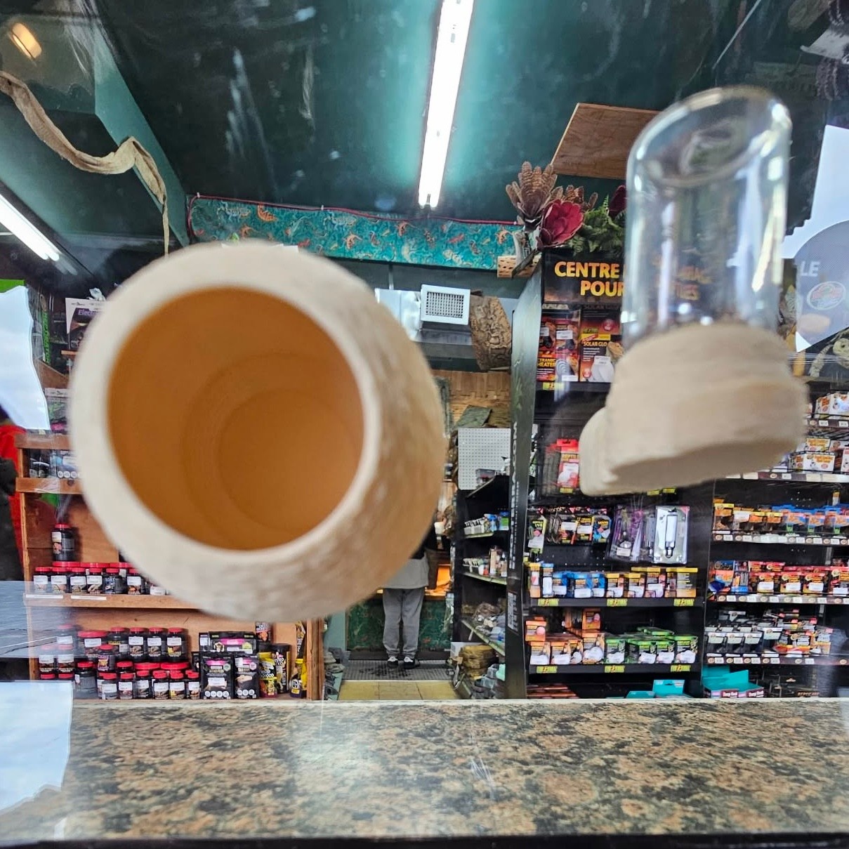 Magazoo MONARCH REPTILES Ensemble Nid et abreuvoir  Aimanté pour Araignées Sauteuses