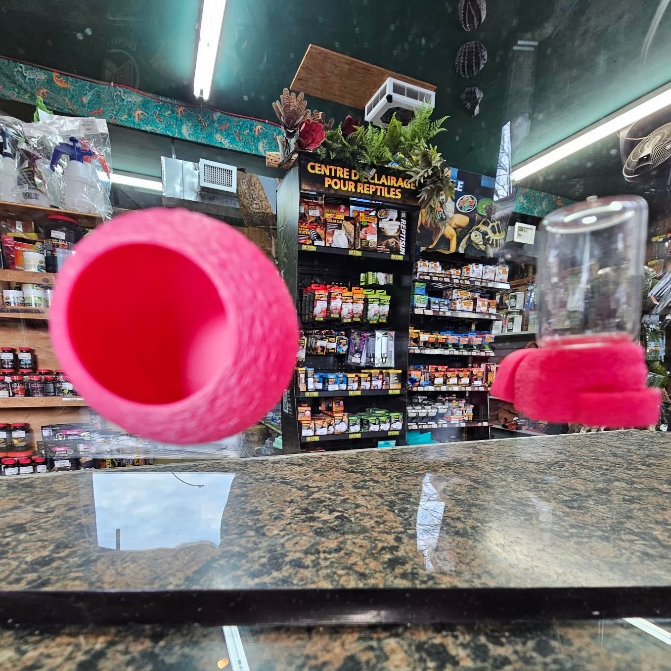 Magazoo Ensemble Nid et abreuvoir  Aimanté pour Araignées Sauteuses