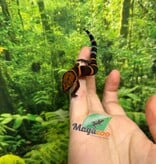 Magazoo Gecko  des cavernes Bawangling janvier 2026 B