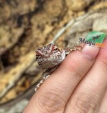 Magazoo Dragon barbu  50% Red Monster Blue Bar Cross Hypo #3