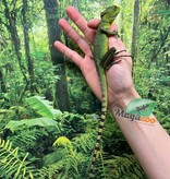 Magazoo Green Basilisk