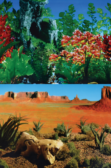 Treasures underwater Background design: Desert / Reversible Red Flower - 24" - Sold by the foot
