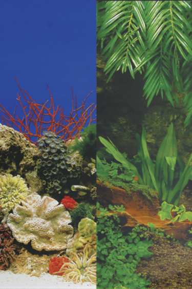 Treasures underwater Background Decor: Tropical Foliage / Reversible Marine Background - 24" - Sold by the foot