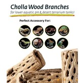 Galapagos GALAPAGOS GA-05274 Bois de Cholla 36-40’’