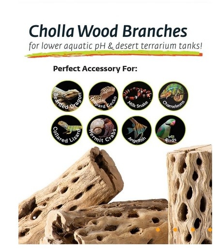 Galapagos GALAPAGOS GA-05274 Cholla Wood 36-40’’