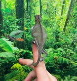 Magazoo Caméléon casqué du Yémen #1 Bébé Mâle