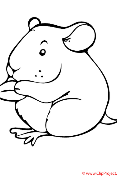 Magazoo Frozen adult hamster