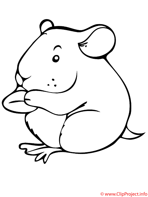 Magazoo Frozen adult hamster