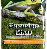 Galapagos Terrarium pillow moss