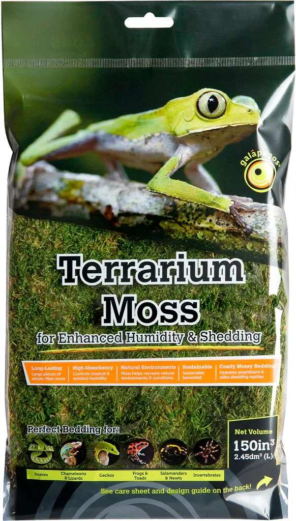 Galapagos Terrarium pillow moss