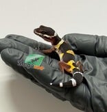 Magazoo Female Blacknight Electric Leopard gecko 04/06/26
