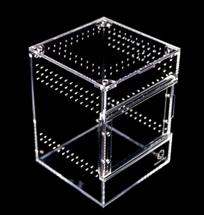 Tarantula Cribs TARANTULA CRIBS - Treehouse Switch -Medium- transparent back - 6 X 6 X 8 in
