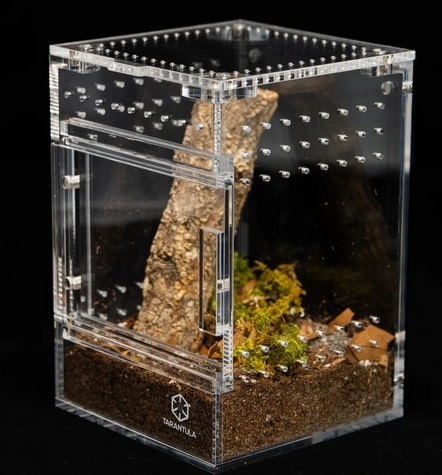Tarantula Cribs TARANTULA CRIBS - Treehouse Switch -Medium- transparent back - 6 X 6 X 8 in