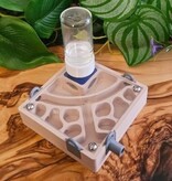 Magazoo Nest dry for ants with hydration
