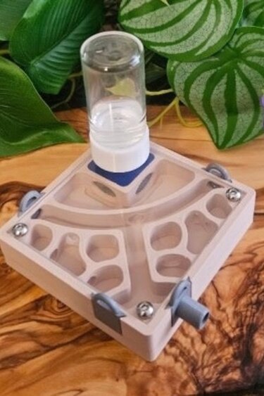 Magazoo Nid fondateur pour fourmis avec abreuvoir (Oh my Ants)