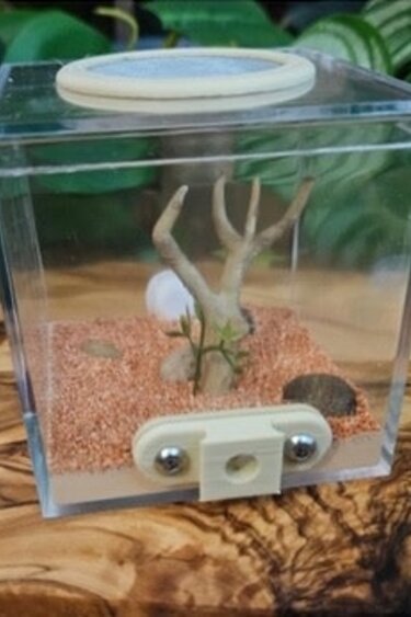 Magazoo Module 'Outworld' pour fourmis - Petit (Oh my Ants) 7 X 7 X 7cm