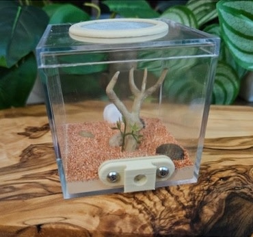 Magazoo Module 'Outworld' pour fourmis - Petit (Oh my Ants) 7 X 7 X 7cm