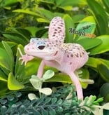 Magazoo Gecko léopard White & Yellow Het Diablo Blanco Femelle 29/03/26