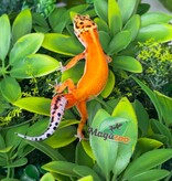 Magazoo Female Tangerine Hypo Leopard Gecko 04/16/26