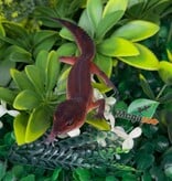 Magazoo Female Light Blacknight Mandarin Leopard Gecko 05/21/26