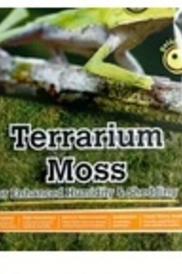 Galapagos Terrarium pillow moss