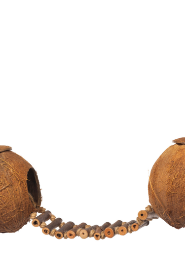 Prevue Hendryx Double Coconut with Ladder