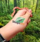 Magazoo Serpent des blés Amel Masque  Femelle 01-06-26