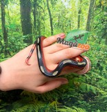 Magazoo Serpent laitier Nelson tacheté (Splotched) Mâle 8/8/25