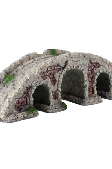 Treasures underwater UNDERWATER TREASURES 65231 Pont de pierre