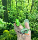 Magazoo Baby Red eyes tree frog (captive born)