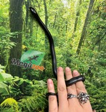 Magazoo Female Mexican black king snake #1 Born May 23, 2026